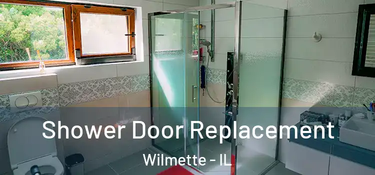 Shower Door Replacement Wilmette - IL